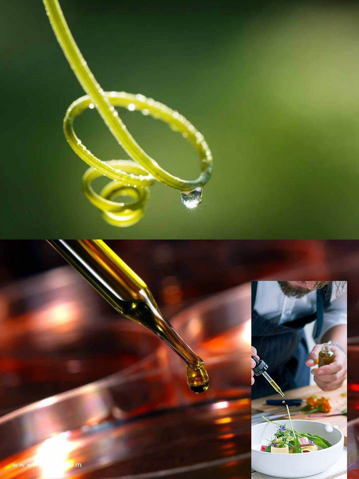 1393056_535136906576194_539799854_n